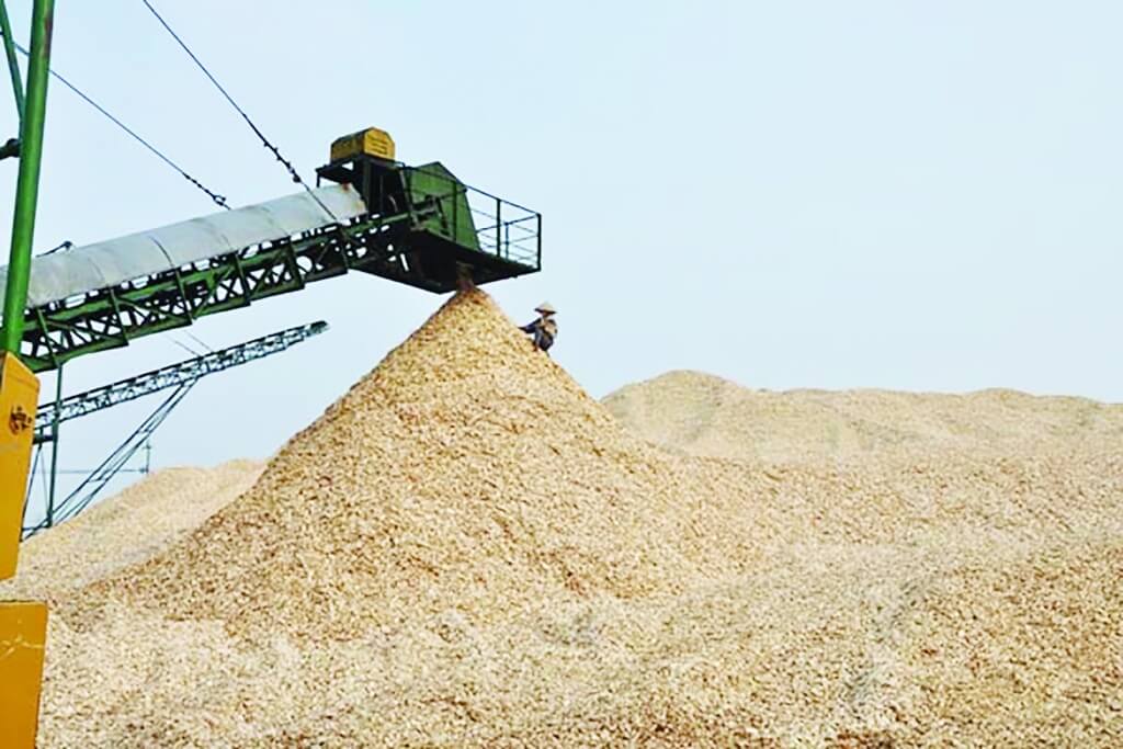 Dăm gỗ xuất khẩu